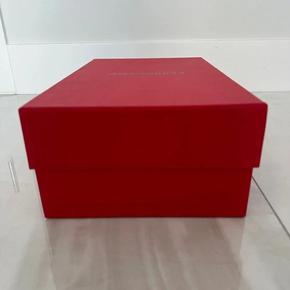 Salvatore Ferragamo Tall Shopping Bag Shoebox and 2 New Dust Bags PRICED TO SELL - Picture 6 of 15